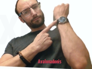 Avalonadonis