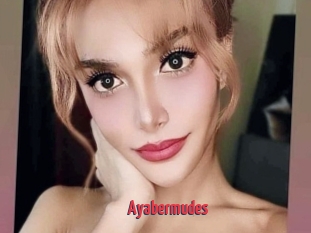 Ayabermudes