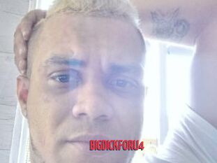 BIGDICKFORU4
