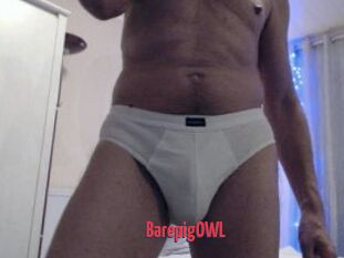 BarepigOWL