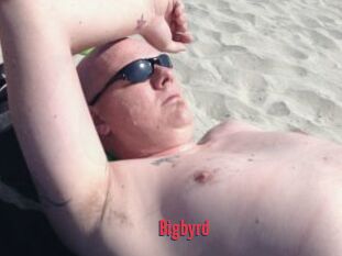 Bigbyrd