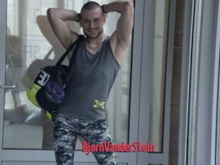 BjornVanderStein