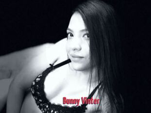 Bunny_Vinter