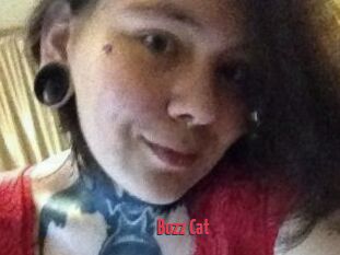 Buzz_Cat