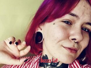 Buzzzz_Cat