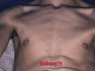 Badbunny75
