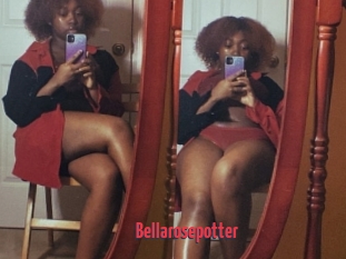 Bellarosepotter