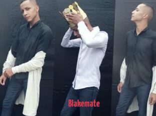Blakemate