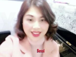 Bosai