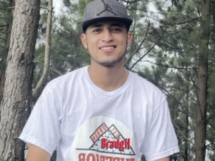 Bradgil