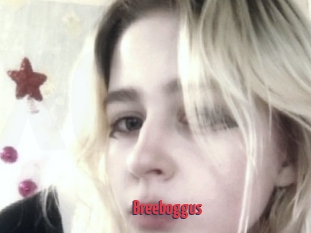 Breeboggus