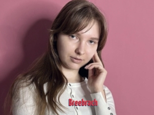 Breebrach