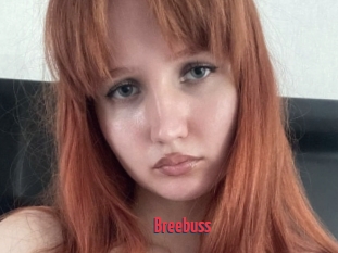 Breebuss