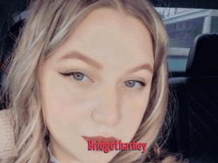 Bridgetharkey