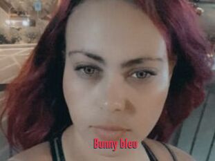 Bunny_bleu