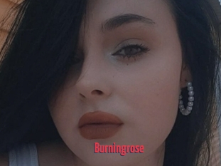 Burningrose