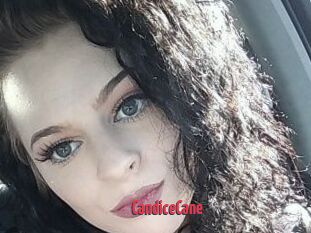 Candice_Cane