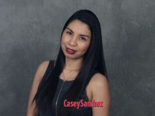 CaseySanchez