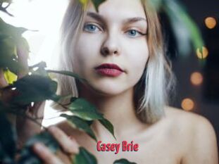 Casey_Brie
