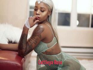 Cattleya_Rose