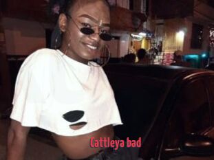 Cattleya_bad