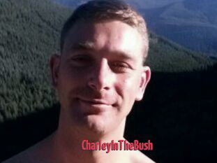 CharleyInTheBush