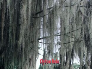 Clyton_Rein