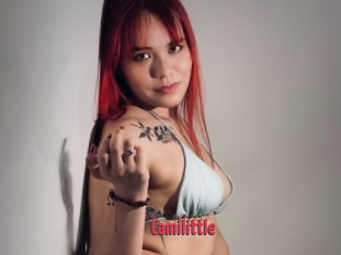 Camilittle