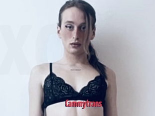 Cammytrans