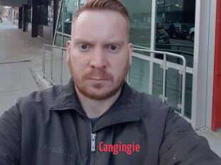 Cangingie