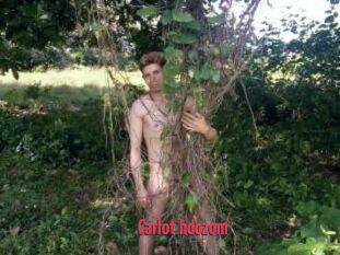 Carlot_hdozom