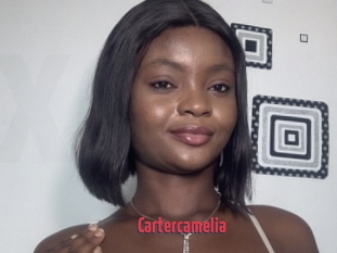 Cartercamelia