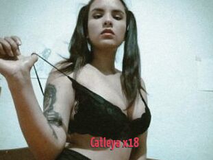 Catleya_x18