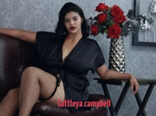 Cattleya_campbell