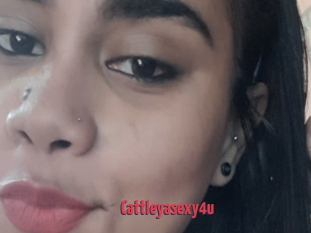 Cattleyasexy4u