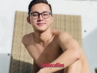 Ceddiecollins