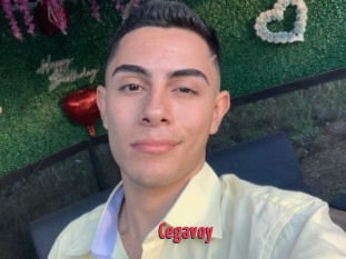 Cegavoy