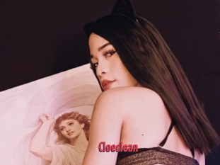 Cloeclean