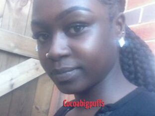 Cocoabigpuffs