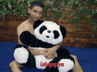 Collegegaym