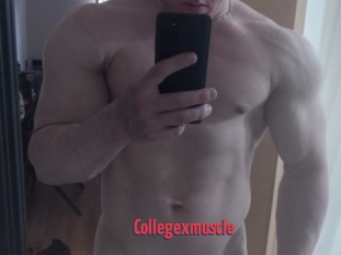 Collegexmuscle