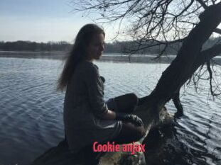 Cookie_anjax