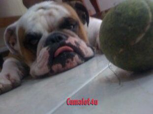 Cumalot4u