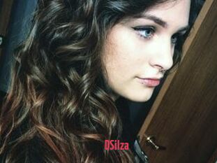 DSilza