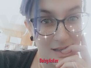 DaisyAster