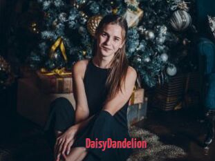 DaisyDandelion