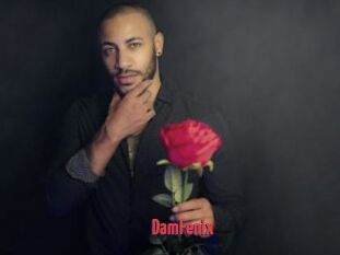 DamFenix