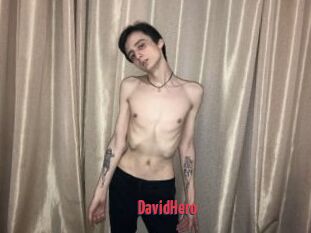 DavidHero