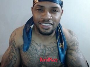 David_Maze