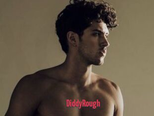 DiddyRough